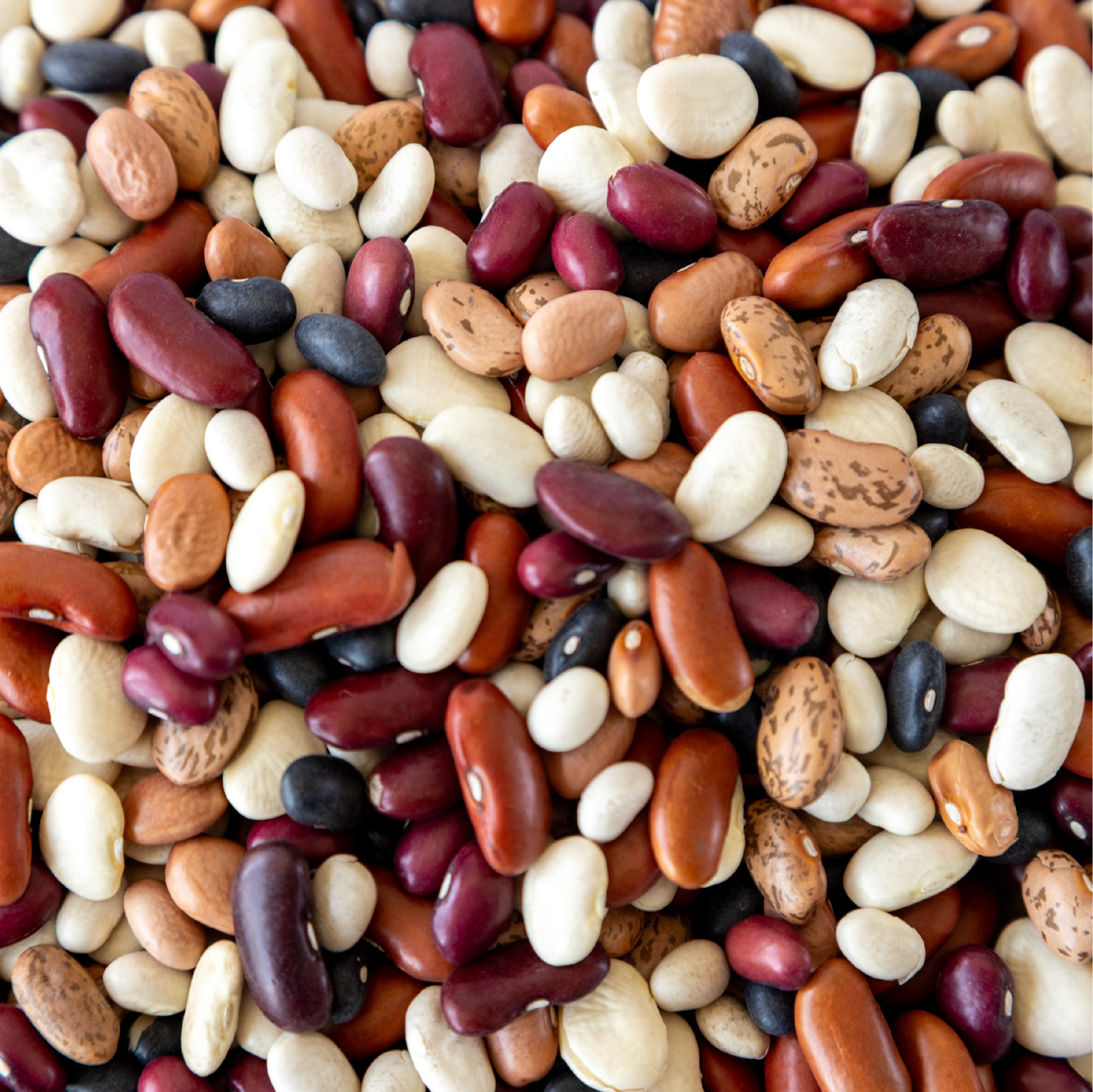 9 Bean Soup Mix - Image 3