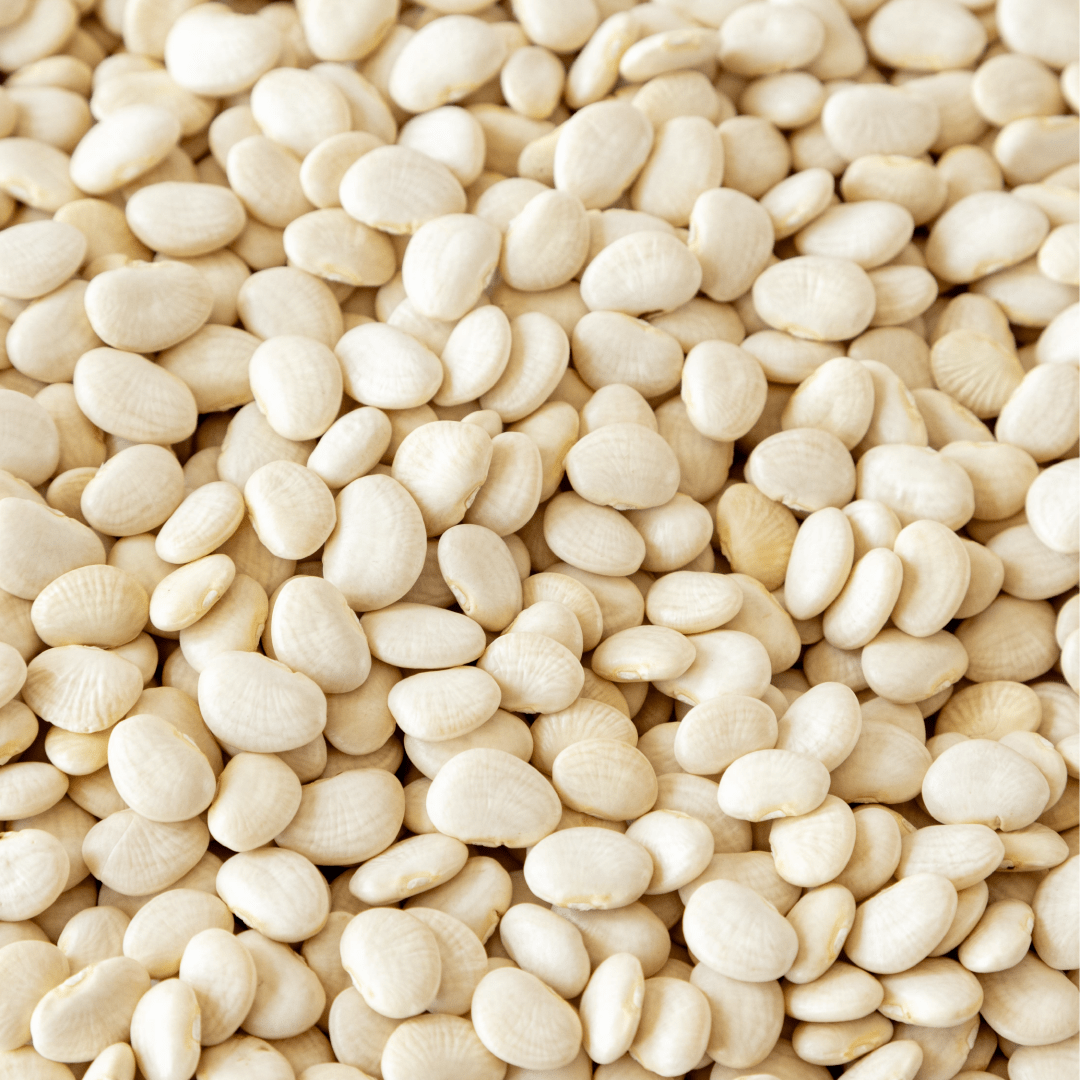 Baby Lima Beans - Image 3