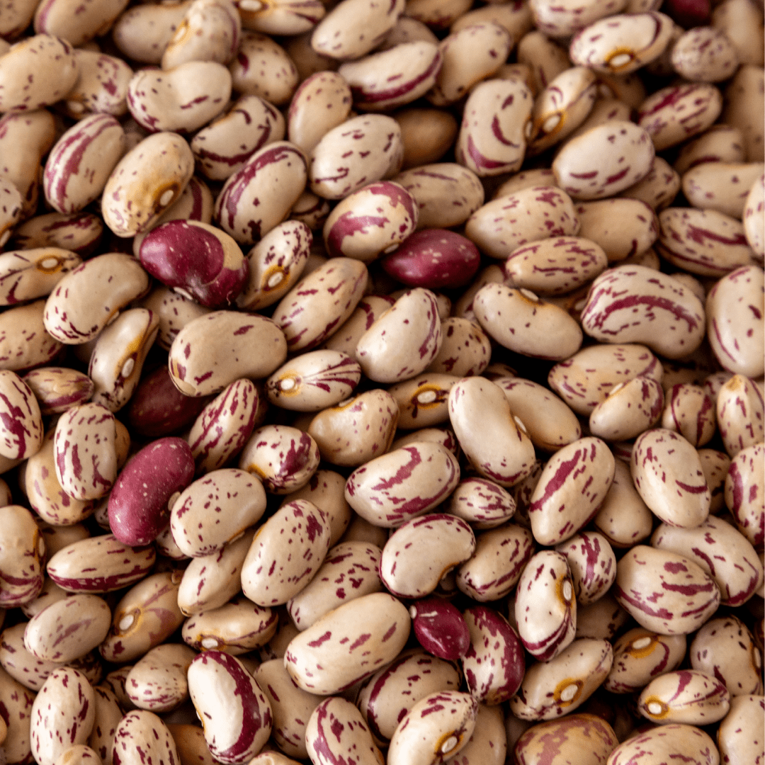 Cranberry Beans - Image 2
