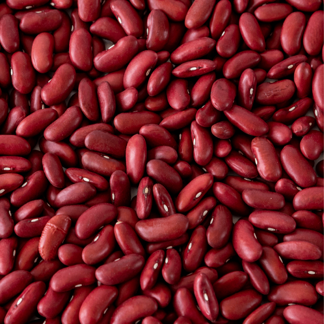 Dark Red Kidney Beans - Image 2