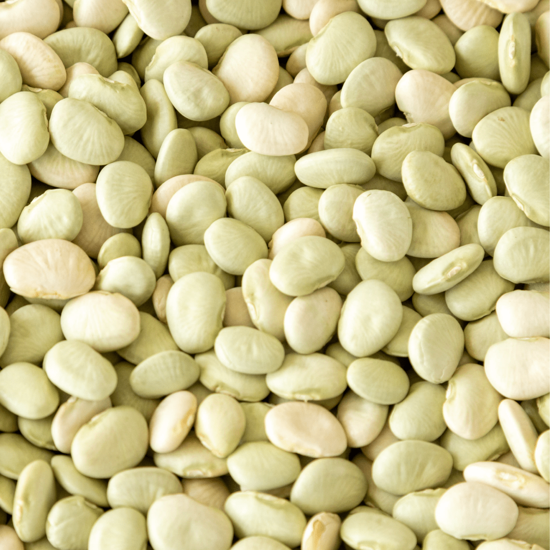 Green Baby Lima Beans - Image 2
