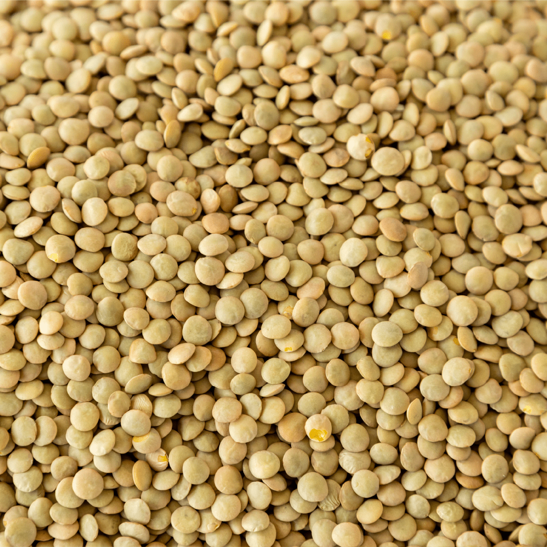 Richlea Lentils - Image 2