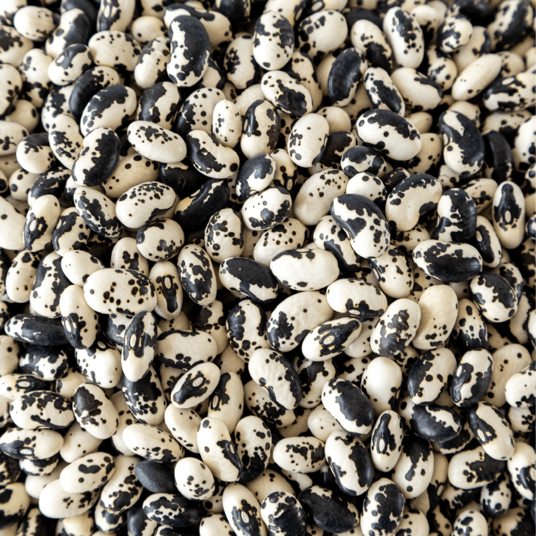 Orca Beans - Image 2