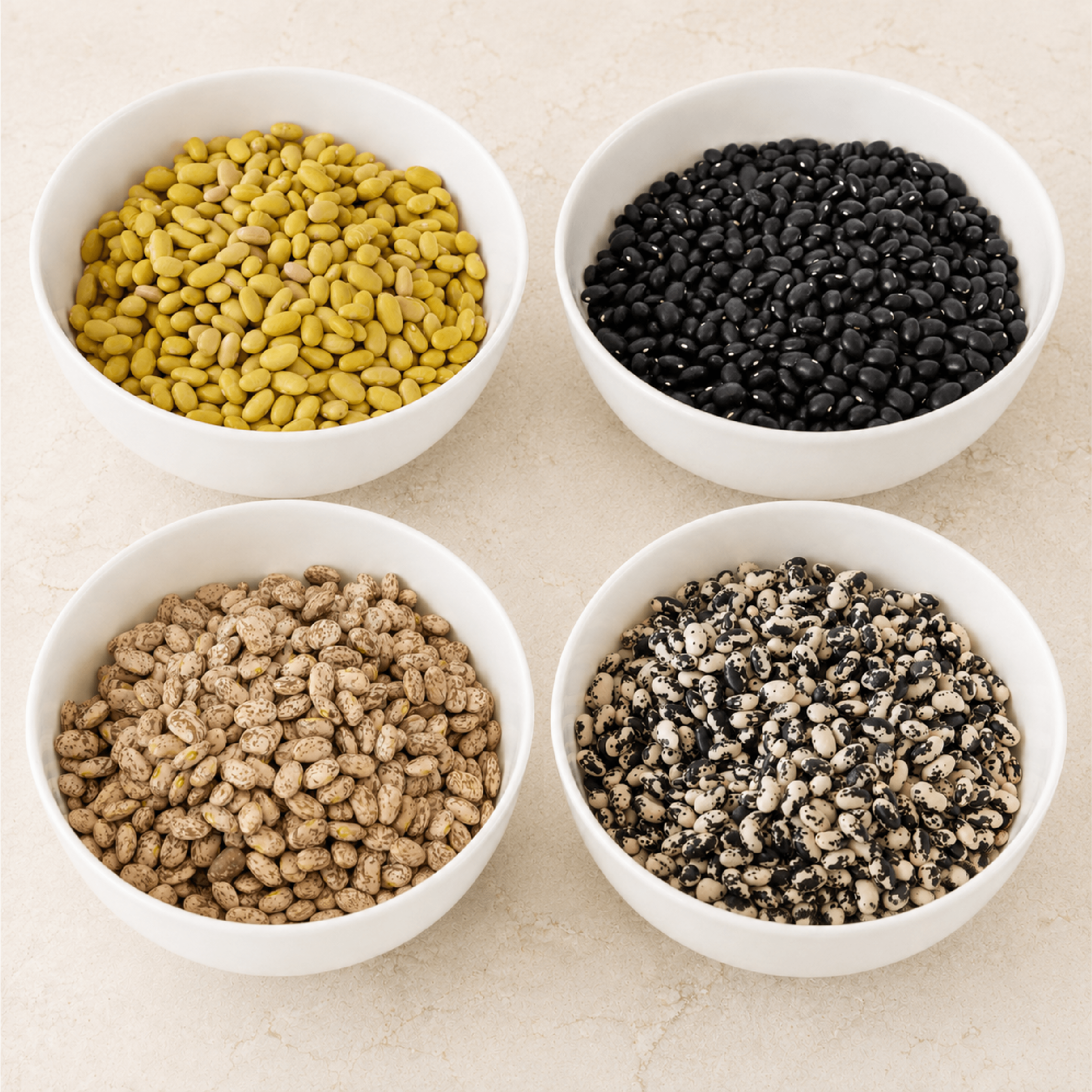 Bean Variety 4-Pack