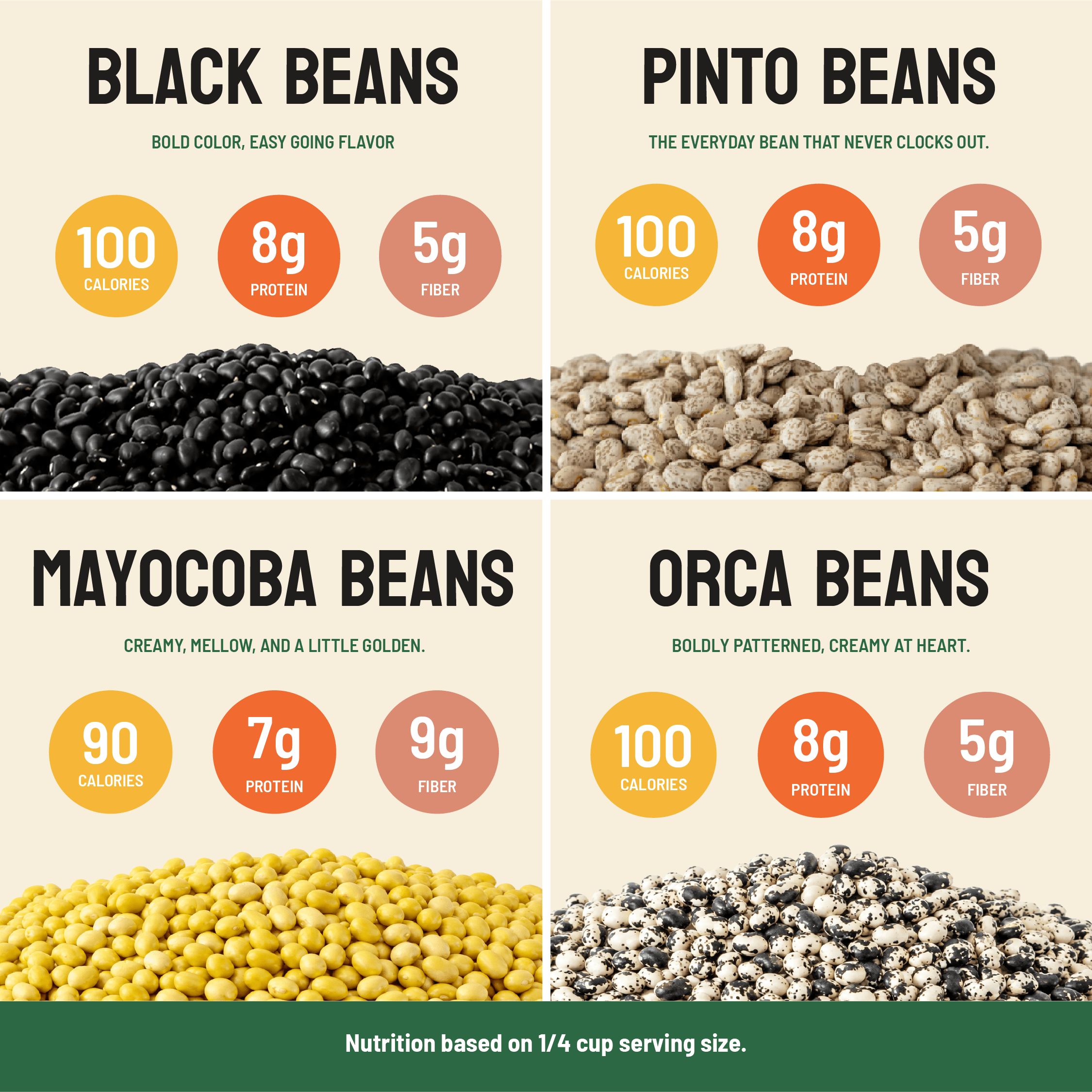 Bean Variety 4-Pack - Image 4