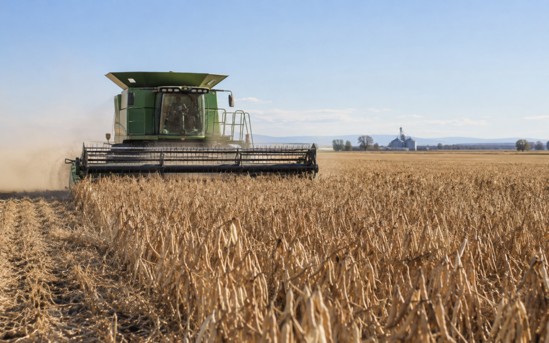 From Field to Table: Celebrating Colorado Bean Harvest Season