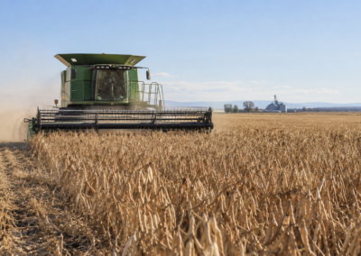 From Field to Table: Celebrating Colorado Bean Harvest Season