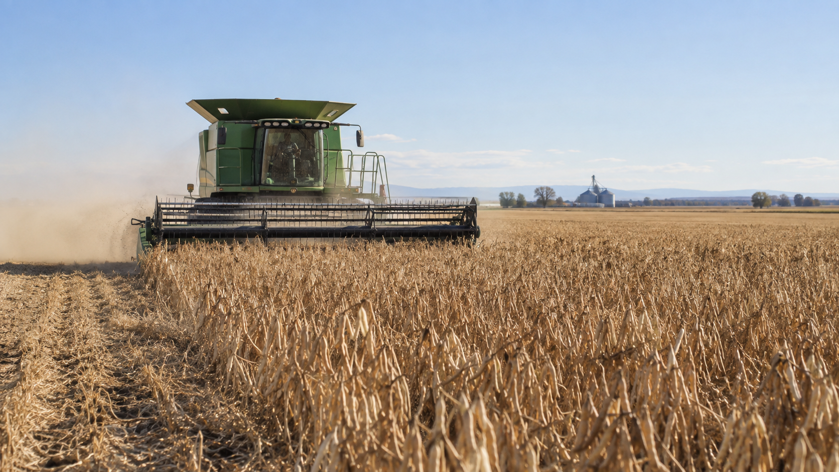 From Field to Table: Celebrating Colorado Bean Harvest Season
